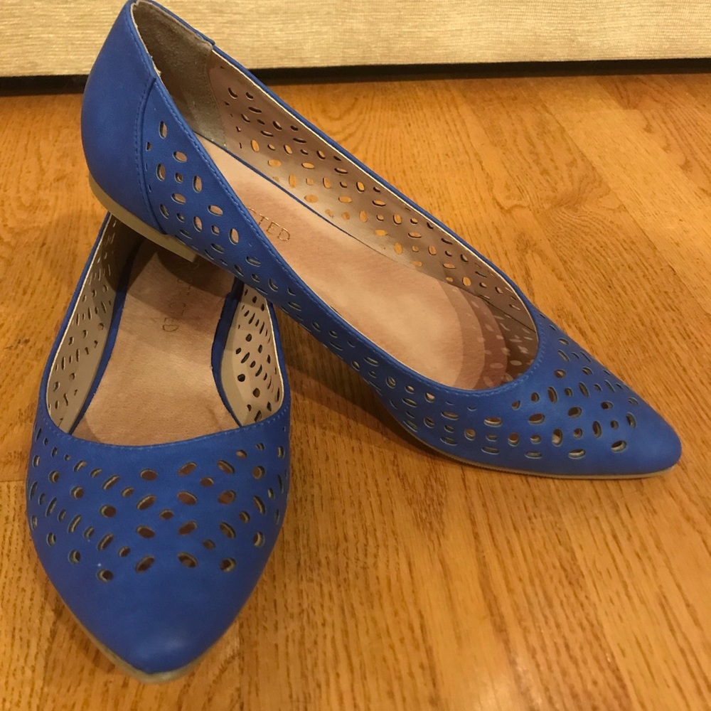 Restricted blue pointed flats